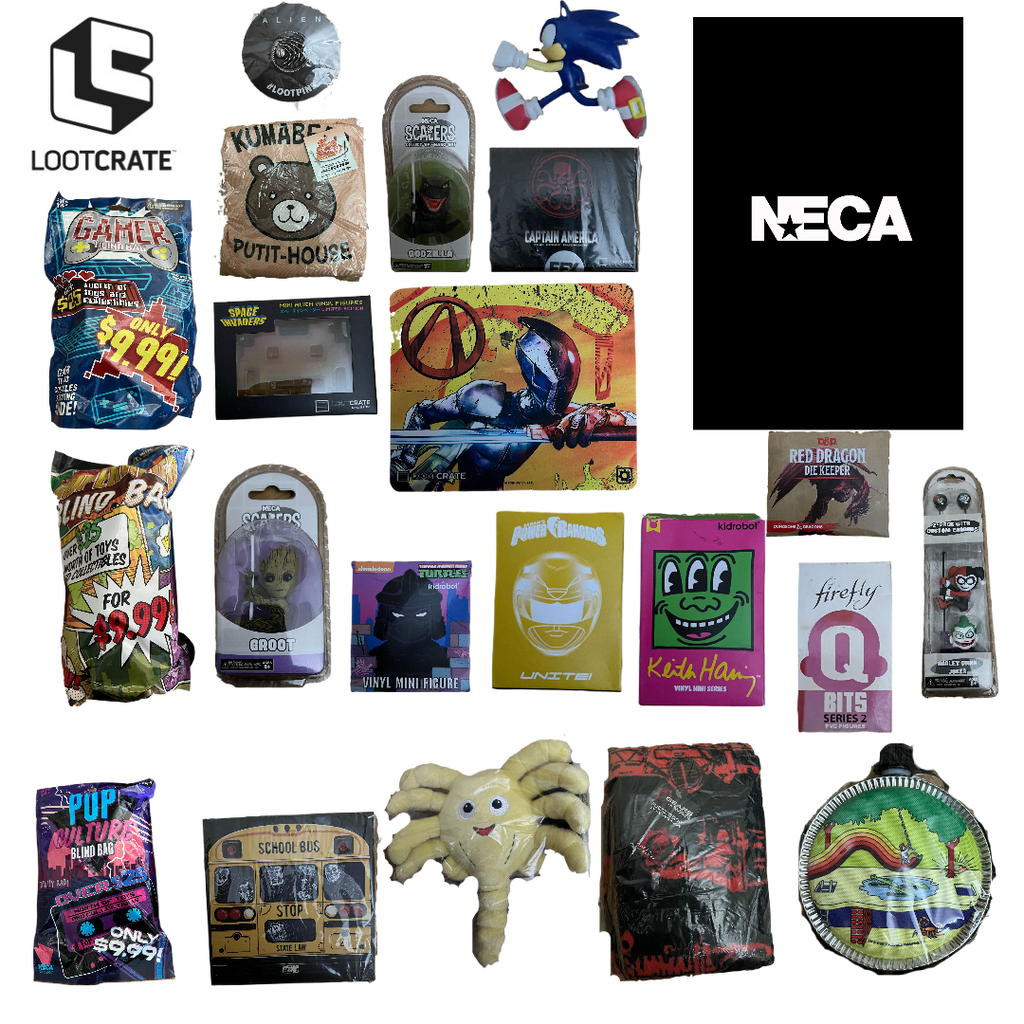 Holiday Gift Guide 2020: Loot Crate | Animation World Network